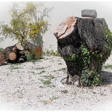 Maison De Retraite Vertaizon ภายนอก รูปภาพ