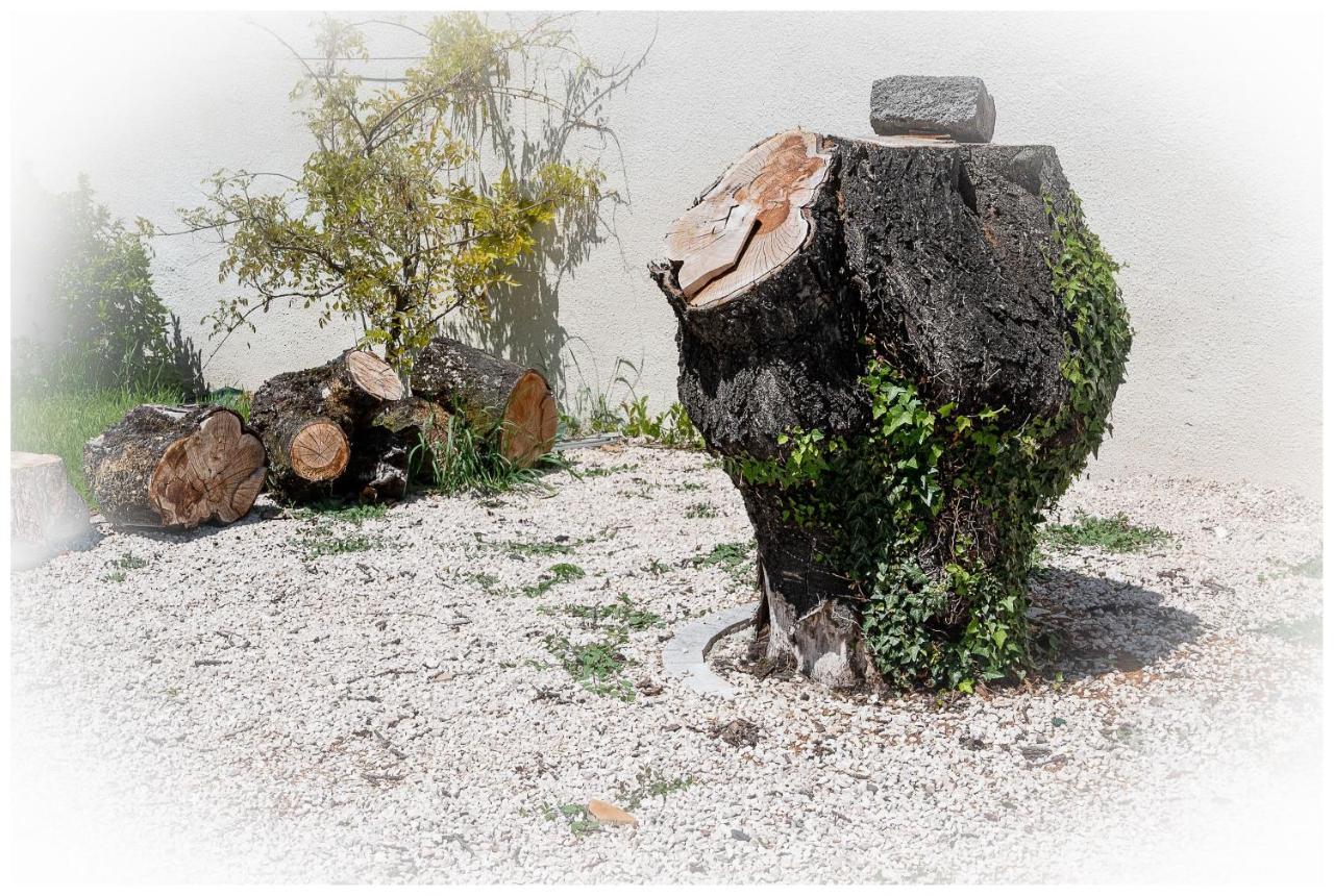 Maison De Retraite Vertaizon ภายนอก รูปภาพ